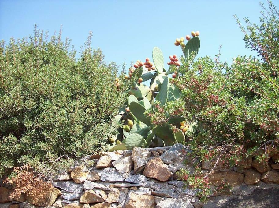 Villa Sunny House With Amazing View For 4+2 Persons Pláka Exterior foto